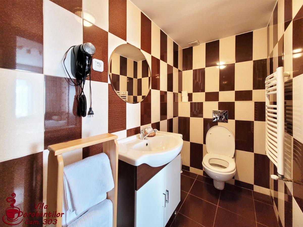 Vila Dorobantilor Cluj-Napoca Buitenkant foto
