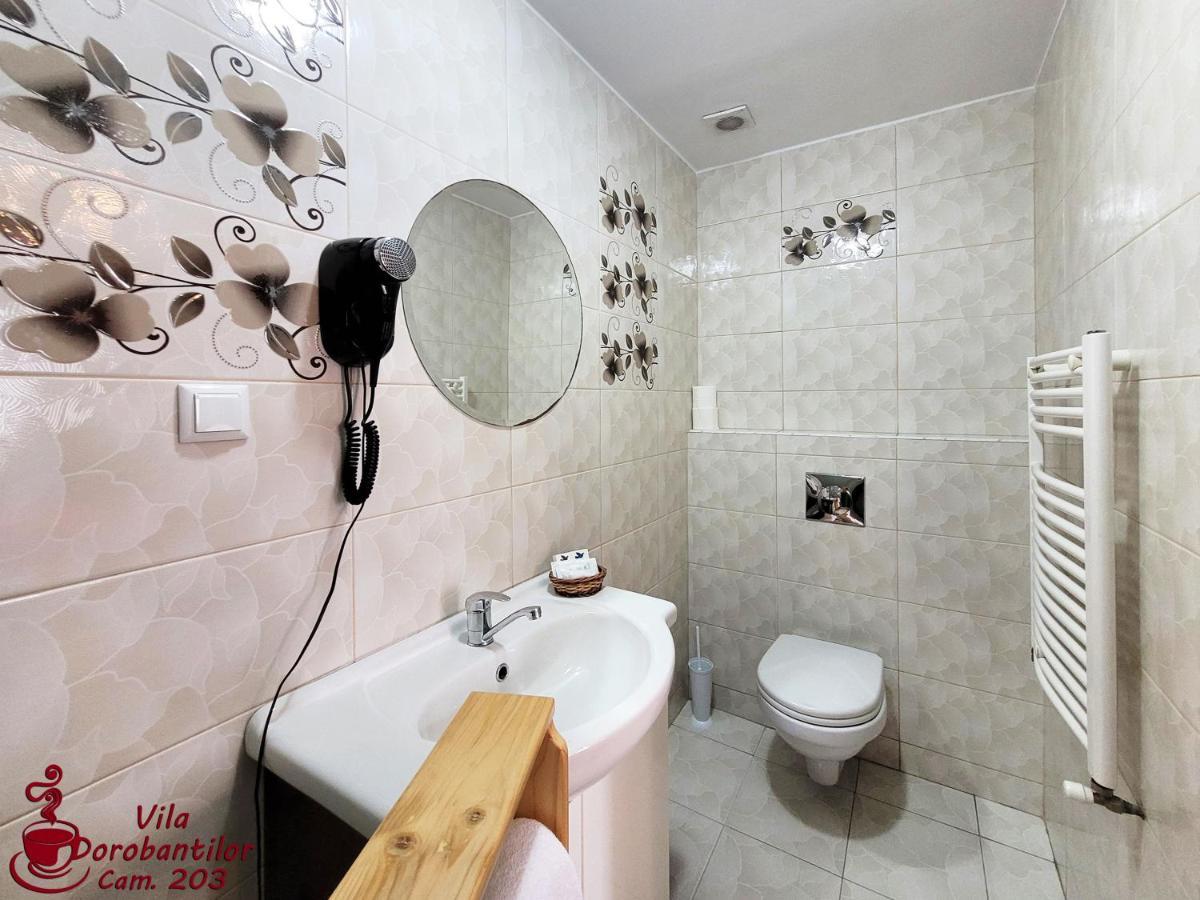 Vila Dorobantilor Cluj-Napoca Buitenkant foto