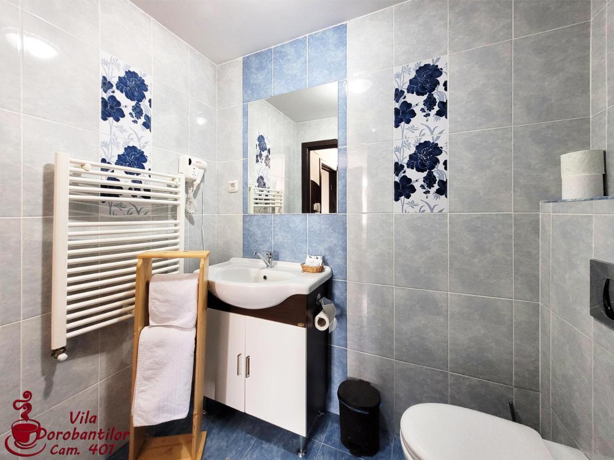 Vila Dorobantilor Cluj-Napoca Buitenkant foto