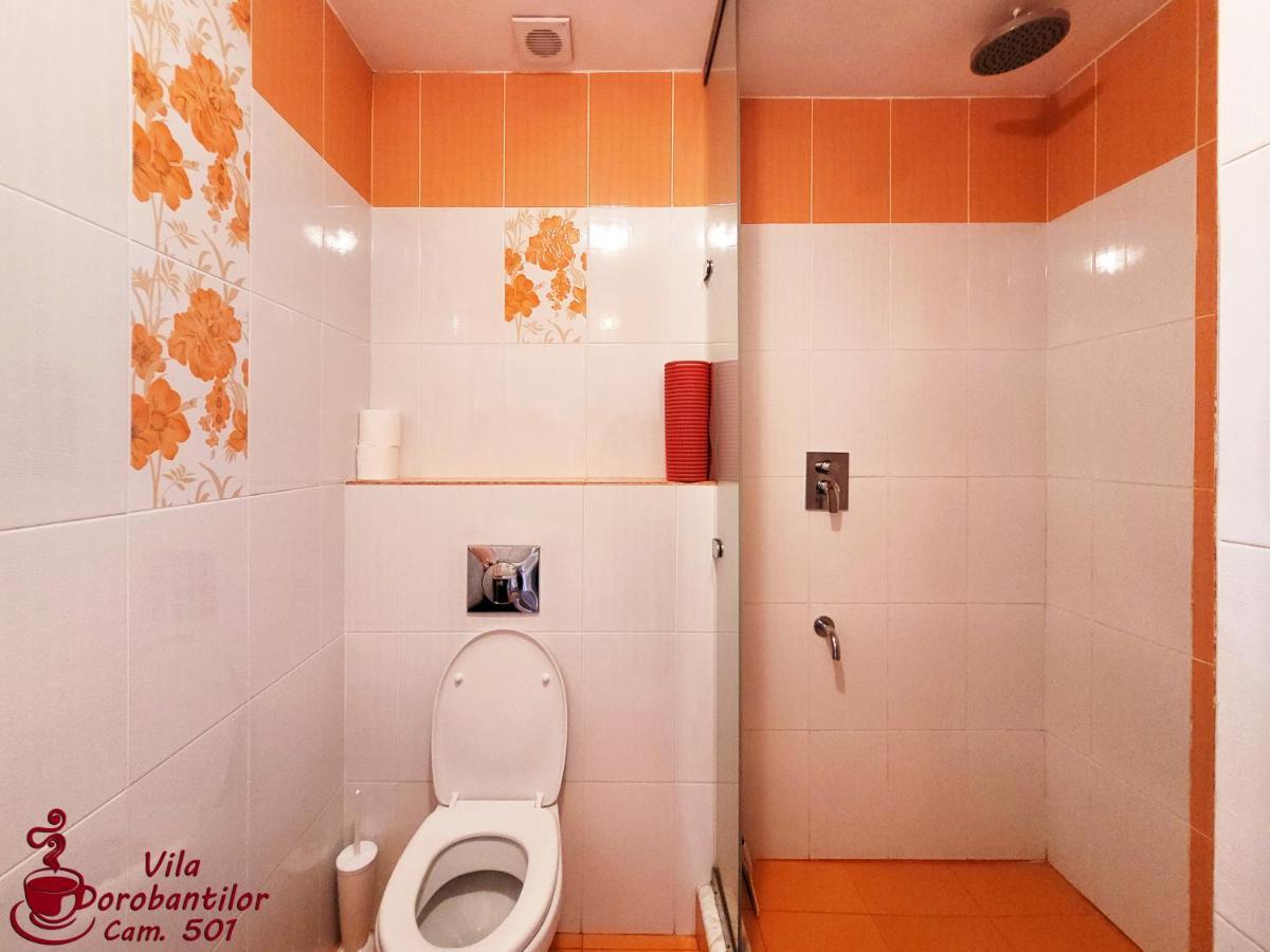 Vila Dorobantilor Cluj-Napoca Buitenkant foto
