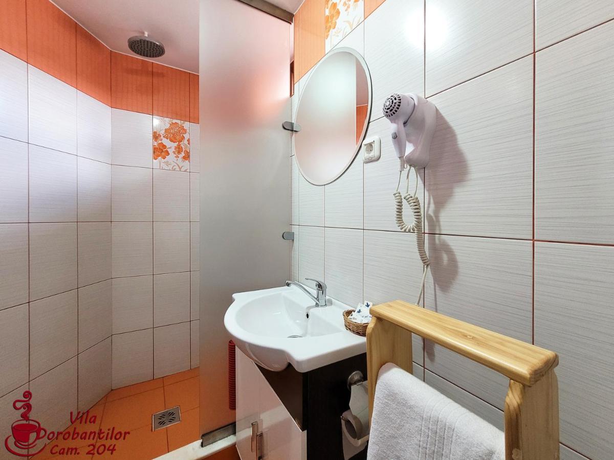 Vila Dorobantilor Cluj-Napoca Buitenkant foto