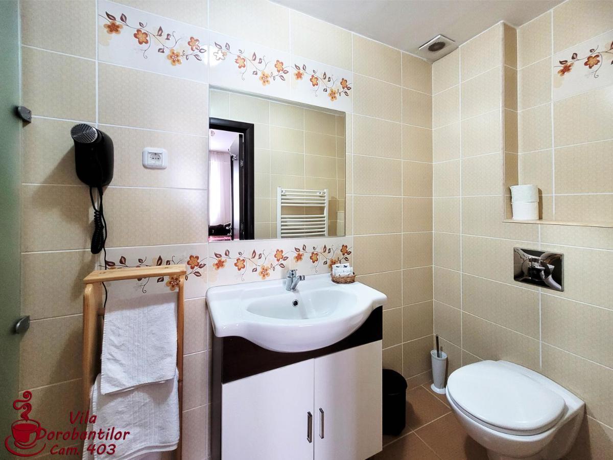 Vila Dorobantilor Cluj-Napoca Buitenkant foto