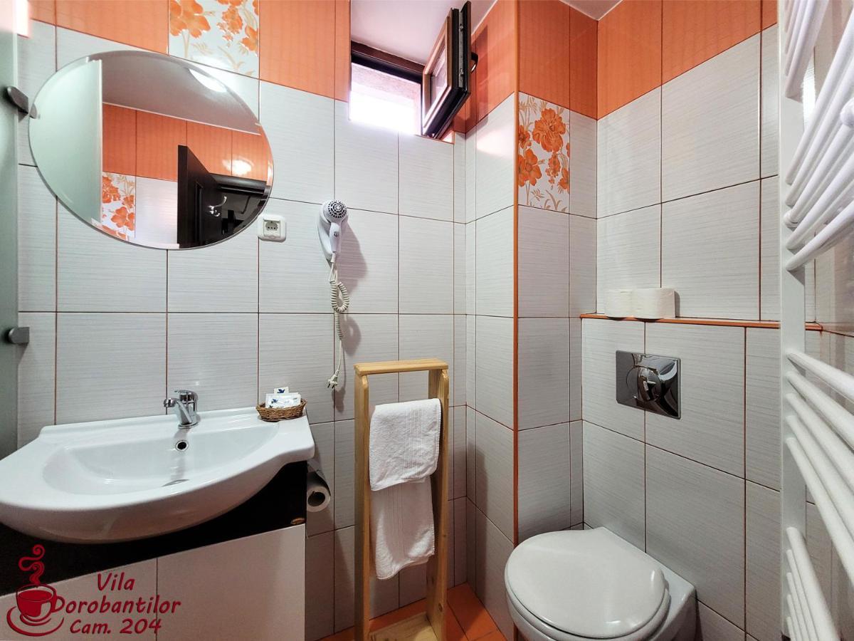 Vila Dorobantilor Cluj-Napoca Buitenkant foto