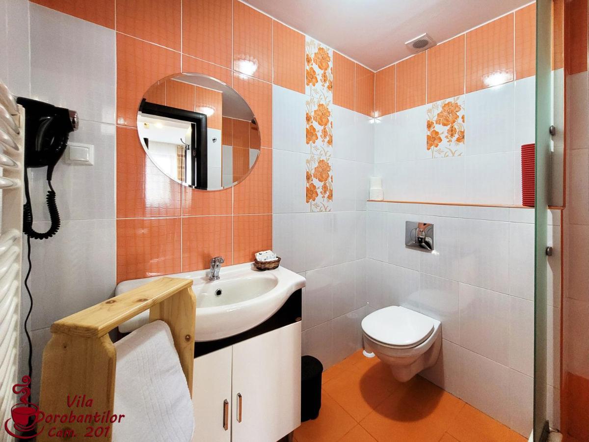 Vila Dorobantilor Cluj-Napoca Buitenkant foto