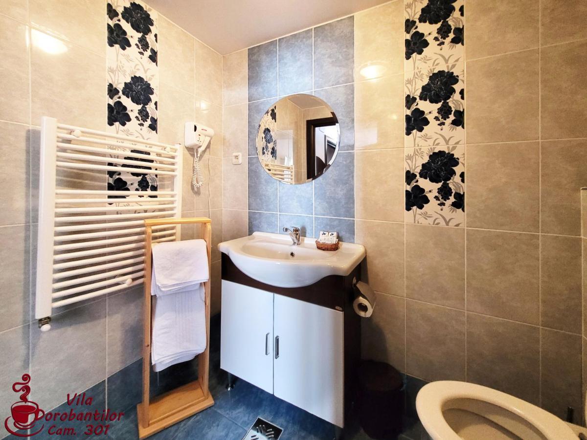 Vila Dorobantilor Cluj-Napoca Buitenkant foto
