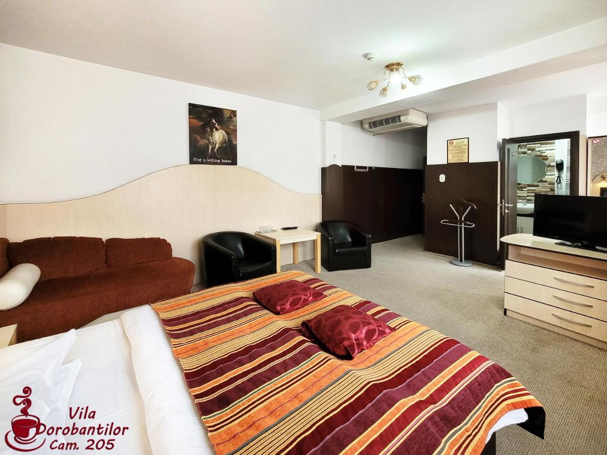 Vila Dorobantilor Cluj-Napoca Buitenkant foto
